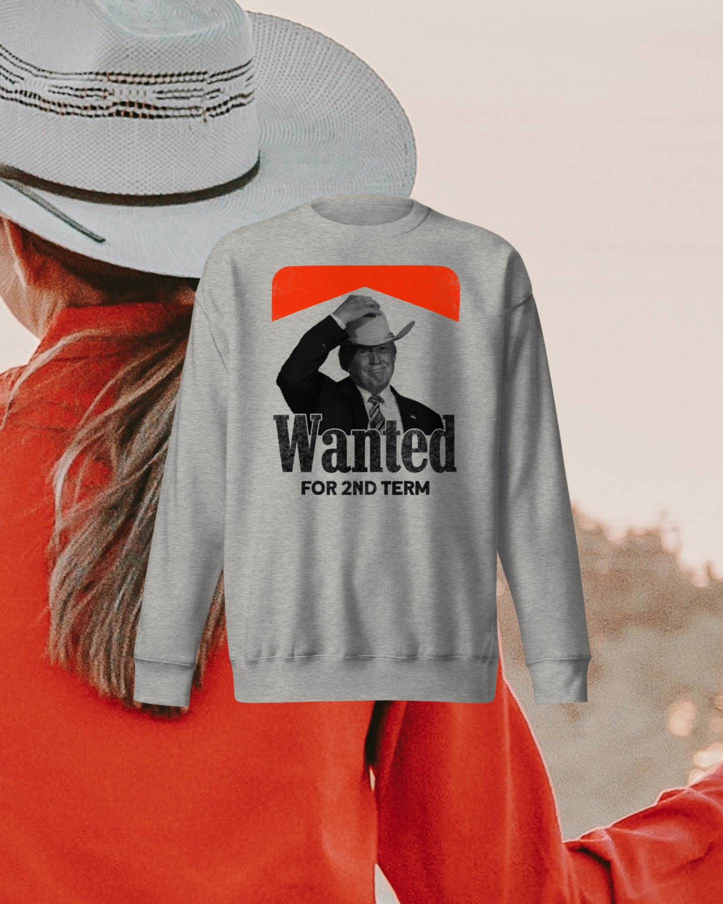 Wanted Pullover